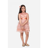 Girl's Net Embellished Sleeveless Round Neck Dress (Beige)