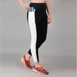 CQ Women's Polyester Solid Ankle length High Waisted Tights (Black)