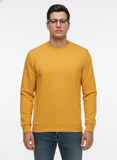 Men's Casual Fleece Solid Round Neck Long Sleeves Sweatshirt (Orange)